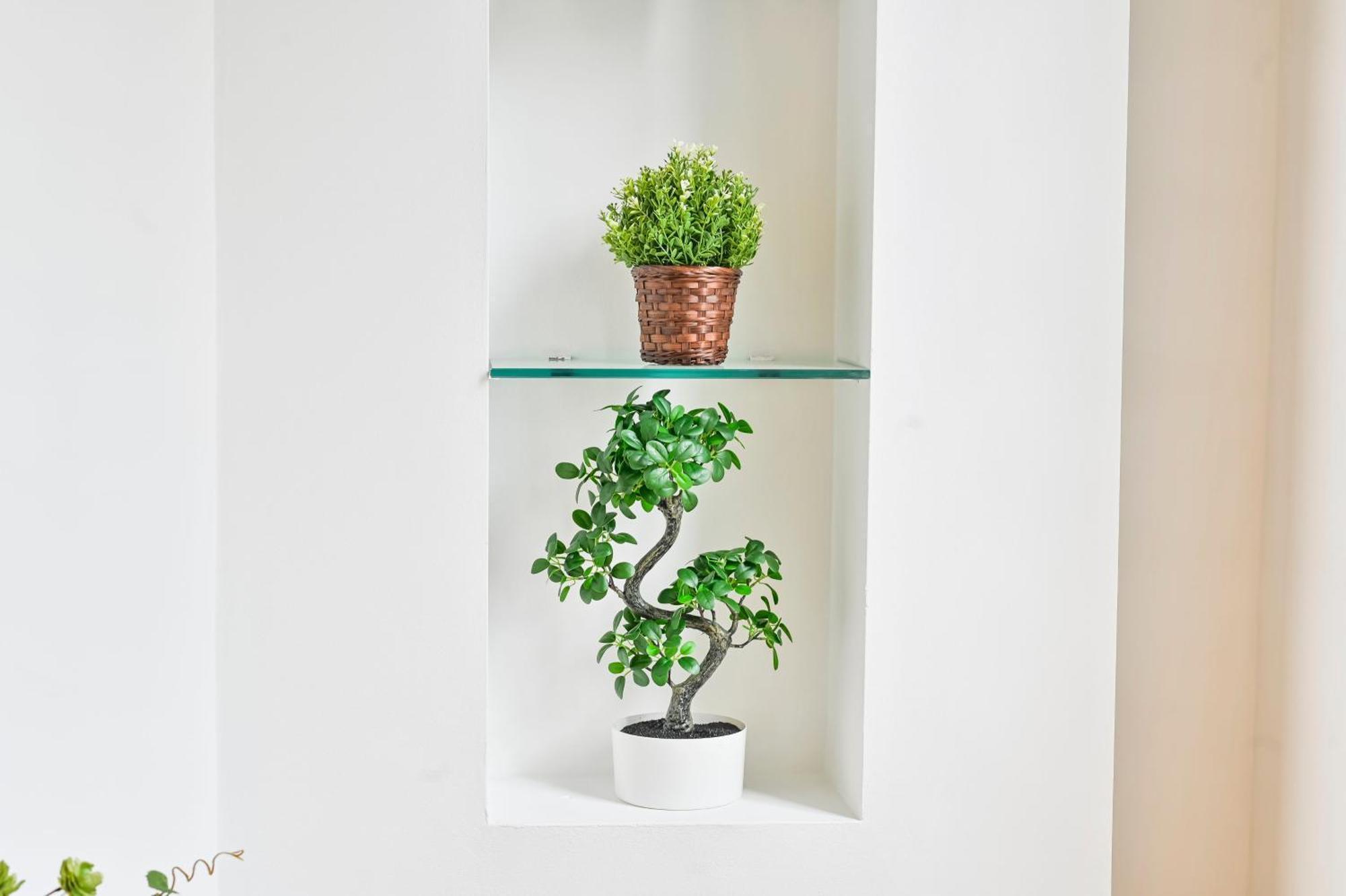 Stunning 3 Bed Central London Apartment Exteriör bild